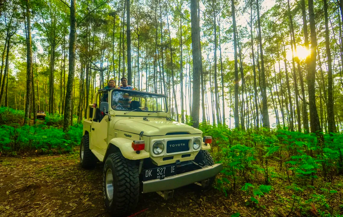 4WD Land Rover Safari at Munduk Wilderness